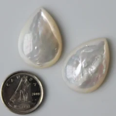 White mother of pearl cabochon Pear shape 18 x 25mm