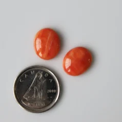 Spiny Oyster Cabochon Oval 10x12mm