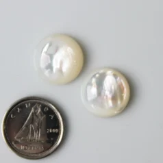 White mother of pearl Cabochon round 14mm