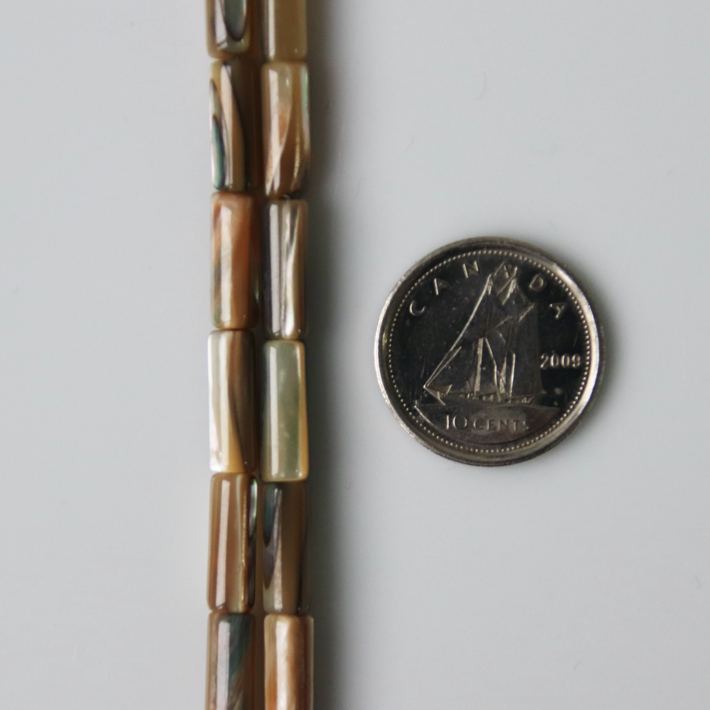 Abalone shell tube 4x 10mm