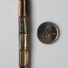Abalone Shell Tube 4x14mm