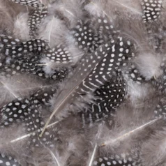 Feather - Dark Brown with dot Approx.1.5-5 inch