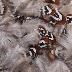 Feather - Light brown with stripe  Size Approx.1.5- 4 inch