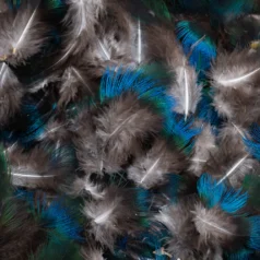 Light brown with Blue and green Approx. Size 1.5 - 3 inch