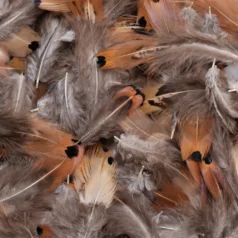 Feather - Brown with small black dot Size Approx.2-4 inch