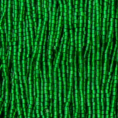 Czech Seed Beads, 10/0, 2-Cut - Silverlined Light Emerald (strung)