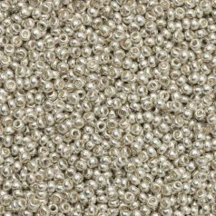 Czech Seed Beads, 10/0 - Metallic Silver (loose)
