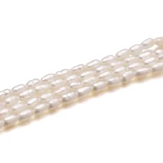 Fresh water pearl oval 2-3mm-B Grade