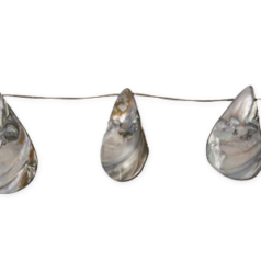 Bead, River Shell, 20x30mm Drop - Grey Color Dyed Shell. Sold per 16-inch Strand