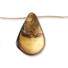 Bead, River Shell, 20x30mm Drop - Brown Color Dyed Shel. Sold per 16-inch Strand