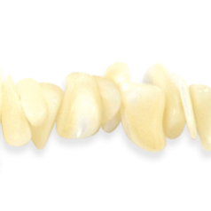 Chips - Mother of Pearl