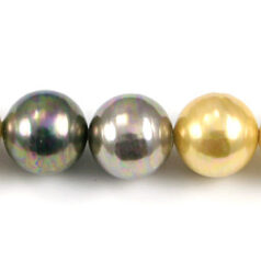 Shell Pearl 14mm Round - Tahitian, Grey, Yellow, Cream