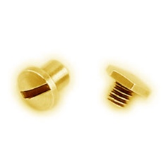 Euro Pewter Bead and Screw Set with Hexagonal Round, 3mm length, 6mm top width in Shiny Gold plated pewter