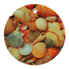 Pendant 40mm Round Resin Pendant with Shell Pattern (Thickness 5mm, Hole Size 3mm)