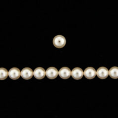 Art.5810 5mm Round Pearl - Creamrose