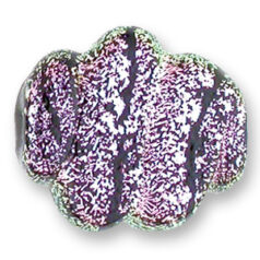 Bead, Dichroic Glass, 24x20mm twisted flat oval