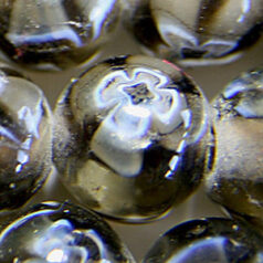 8mm Round Transparent Fiori Glass Bead - Grey