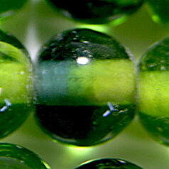 Beads, Glass Beads, 8mm Round Two-Tone, MONTANA/OLIVE