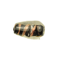 11x22mm Drop Trans. Swirl - Black