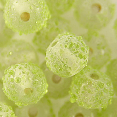 8mm Round Clear Sugarcoat, LIGHT GREEN