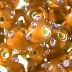 6mm Round Sputnik, Light Orange